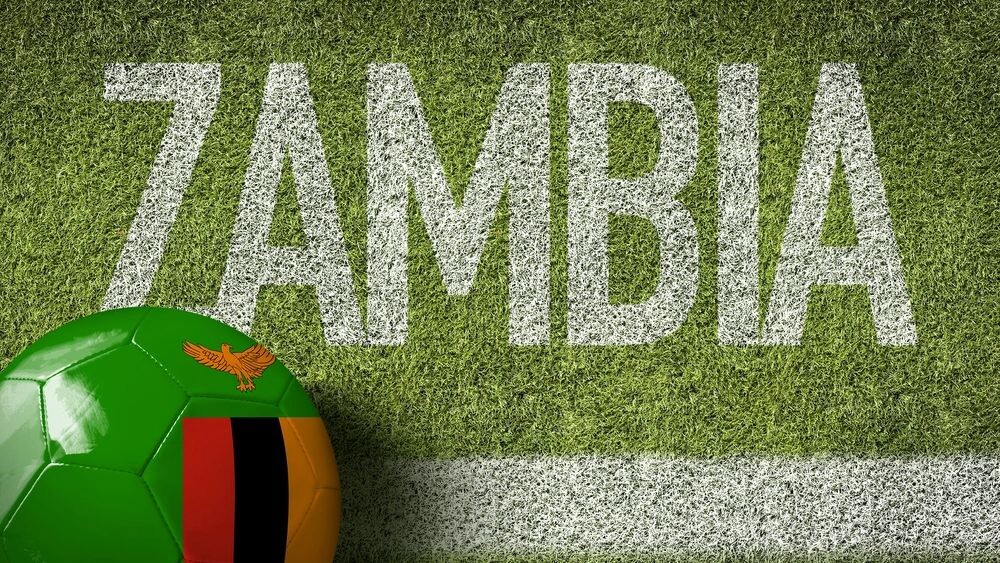    Фото: Gustavo Frazao/Shutterstock/Fotodom