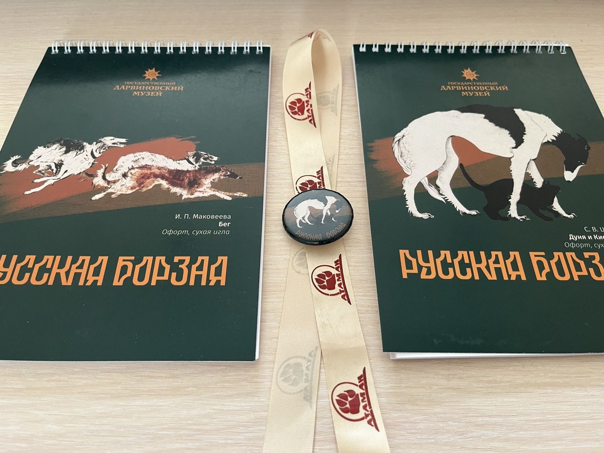 Выставка "Русская борзая" в Государственном Дарвиновском музее. Фото: кинологический центр "Атаман"