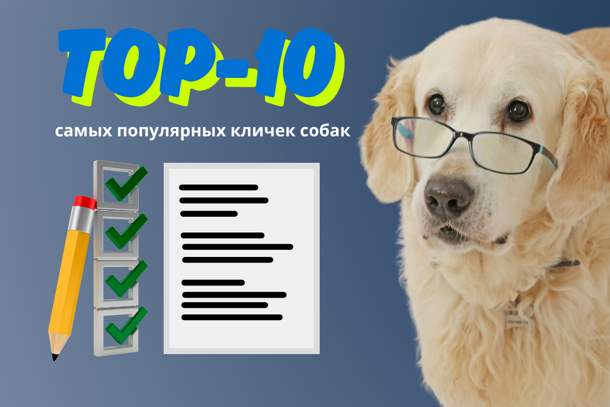 Самые популярные клички собак