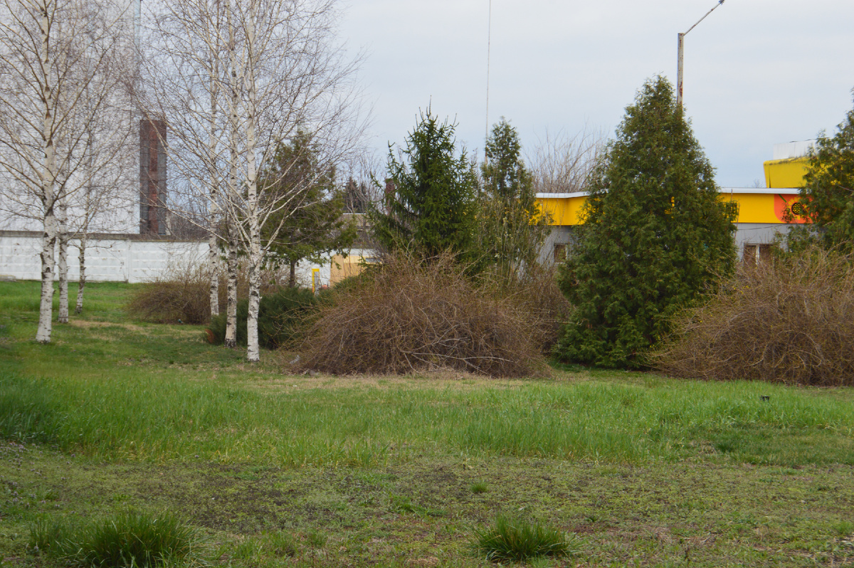 Фото автора. 19.03.2025. Начало веснаы на юге страны.