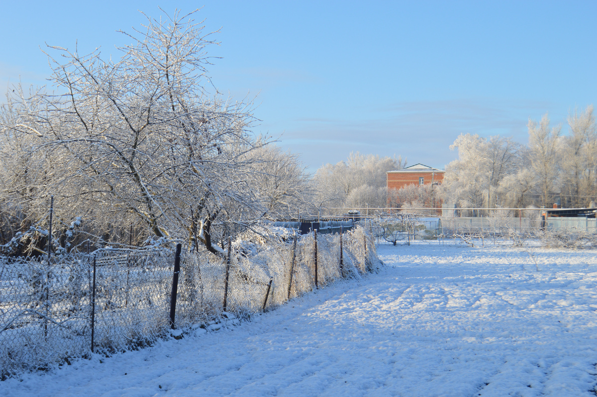 Фото автора. 15.01.2025. Зима в станице.