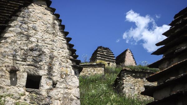    © Sputnik / Denis Abramov