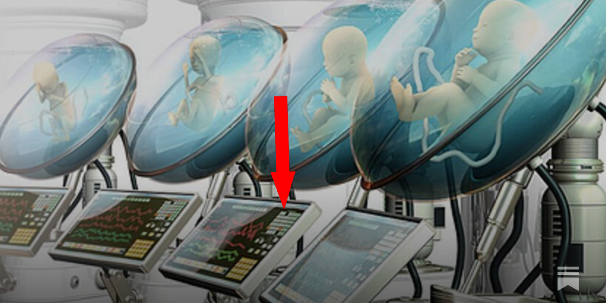    Искусственная матка Инкубатор-7: Революция в репродукции или игра в Бога?