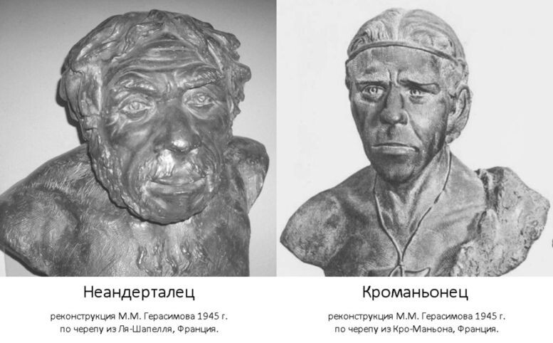 Реконструкции по черепам неандертальца и кроманьонца