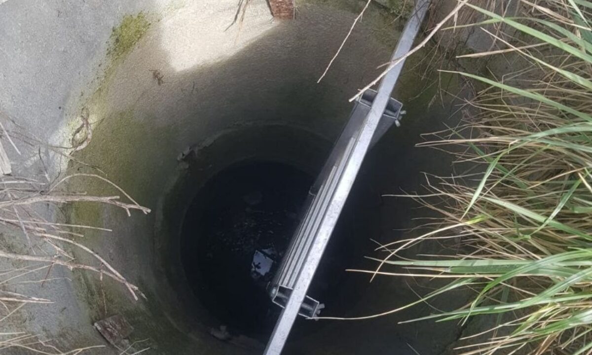    Фото t.me/alekseioderov/