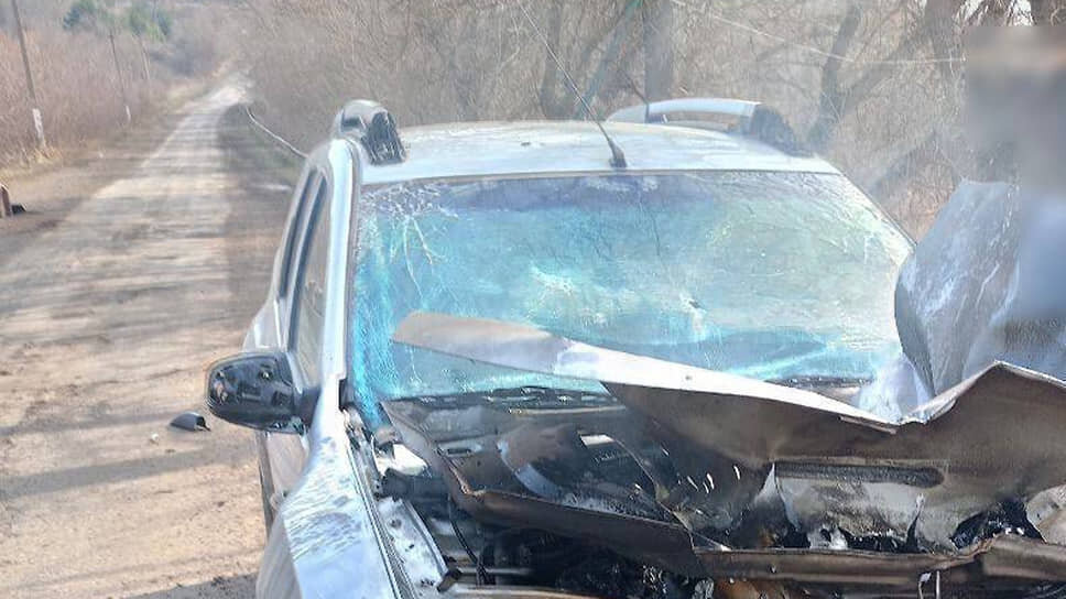 Фото: телеграм-канал Александра Хинштейна