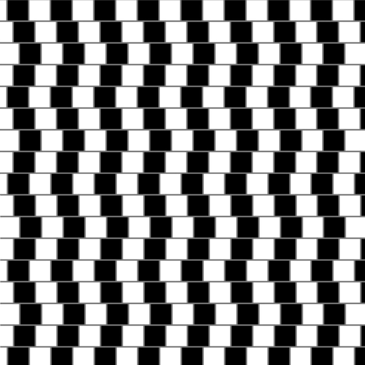 Изображение из сети интернет