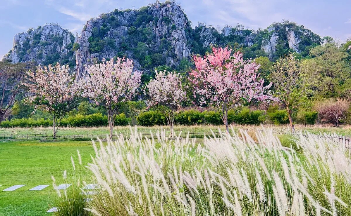    Где увидеть настоящий Таиланд: муай тай, цветы, храмы, дизайнерские отели и традиционная кухня