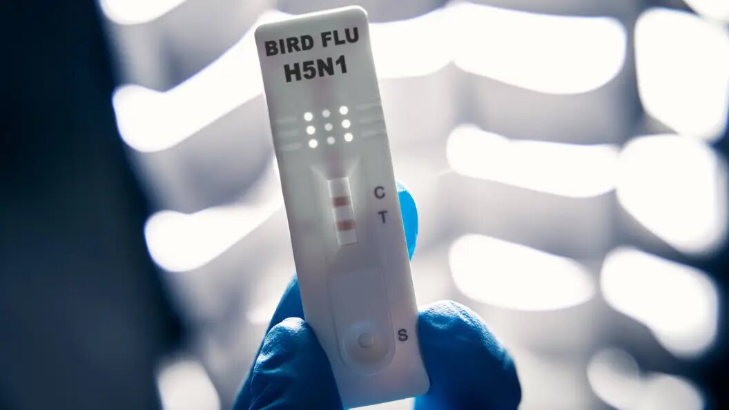    IMAGO/Michael Bihlmayer/Globallookpress