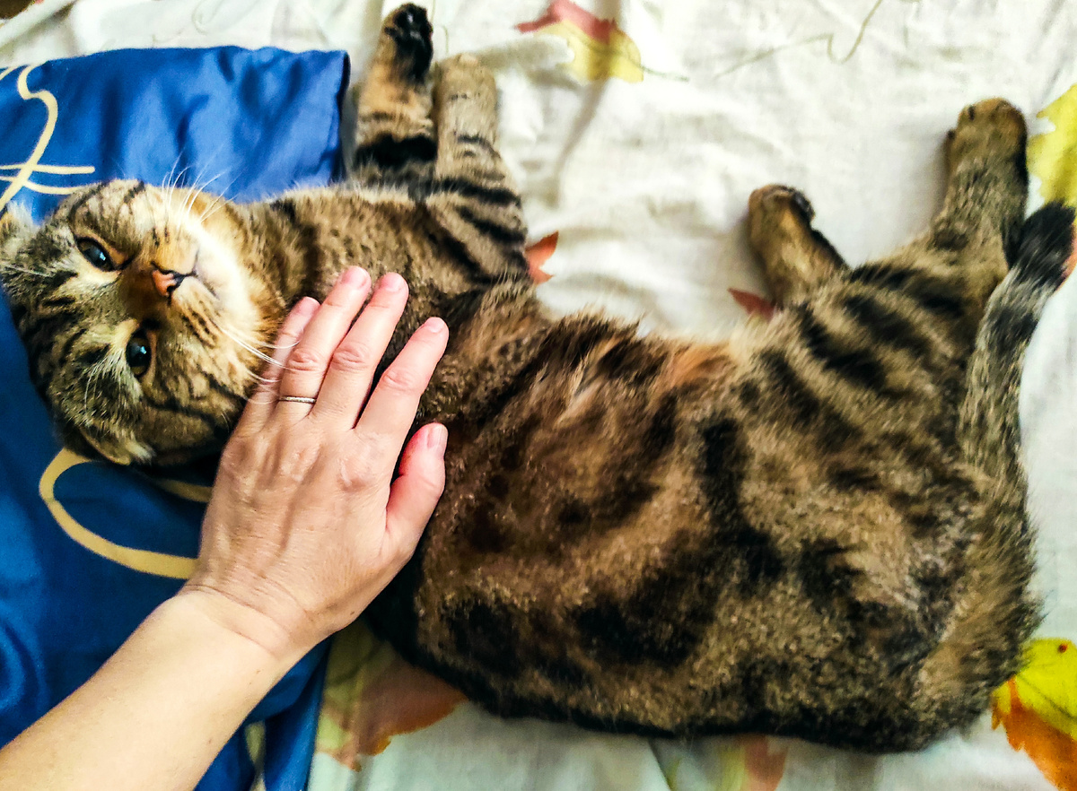 Обычное нынче утро...