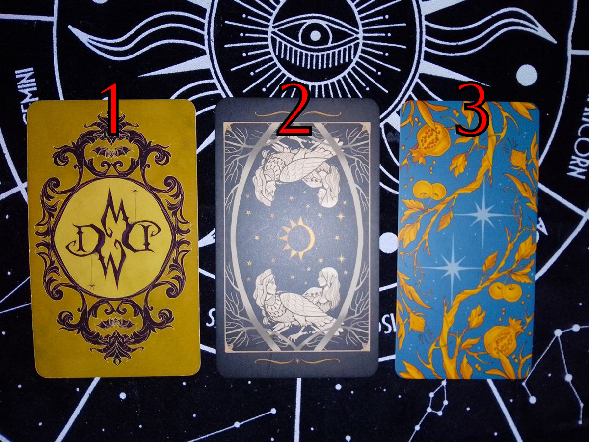 Выбор варианта