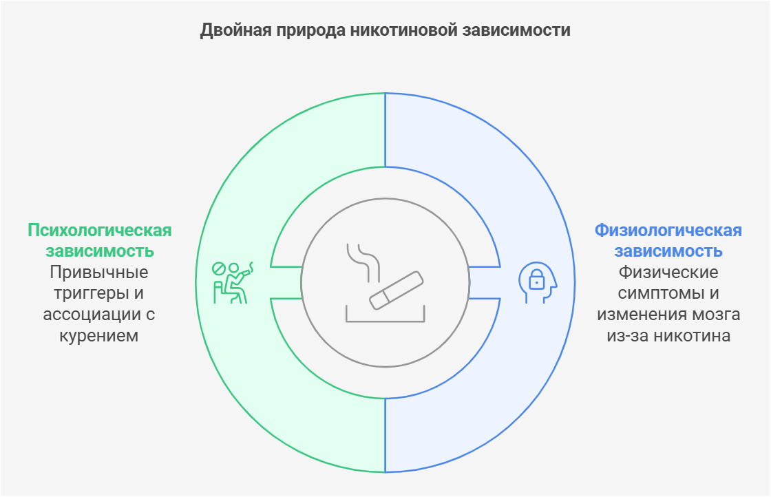 Ваш мозг — ваш главный враг (и как с ним договориться)