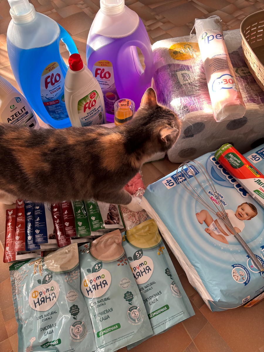 Коська — главный оценщик 