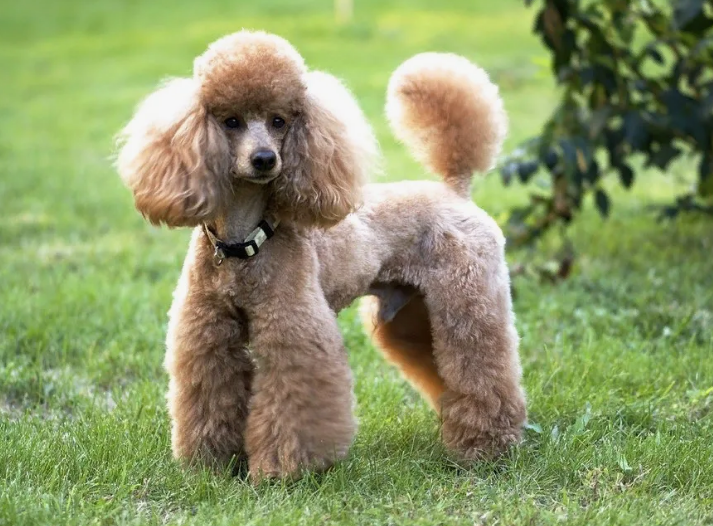 Фото с сайта ufamama.ru