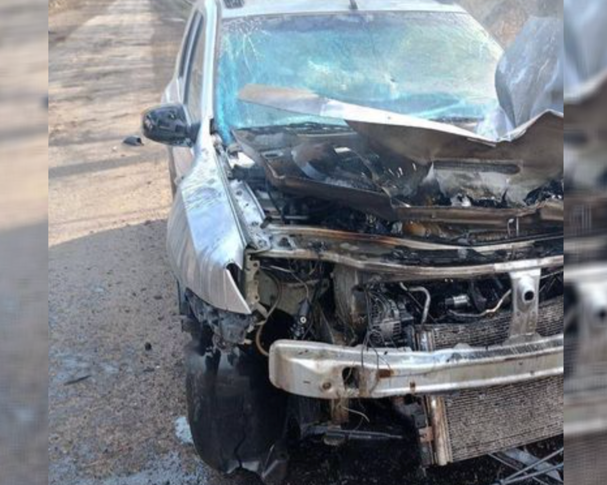     / Источник: ©администрация Курской области