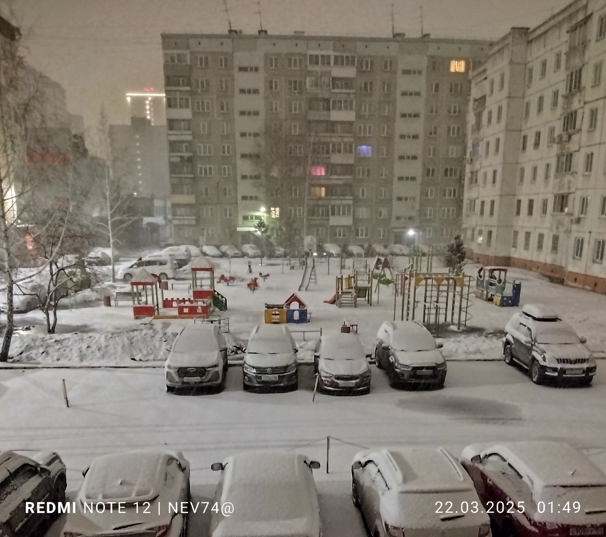 За ночь выпал приличный слой снега