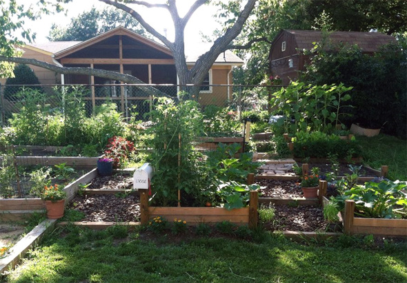 Огород на склоне (из Интернета).