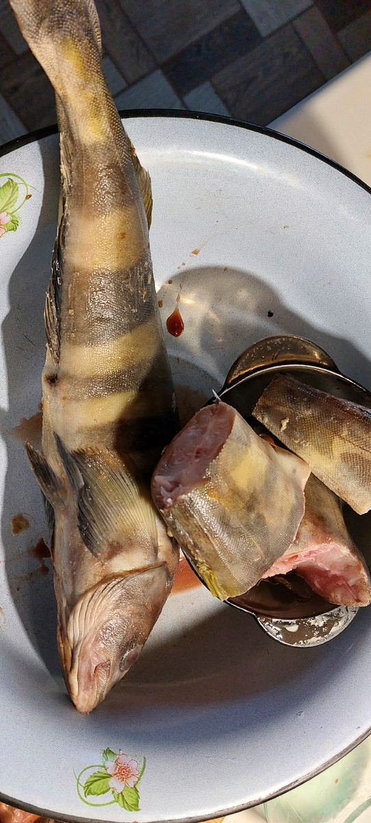  Серьезная рыба. 