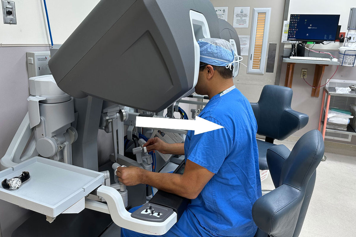    Как бабуины спасли жизни: Трансплантация печени от животных в XXI веке