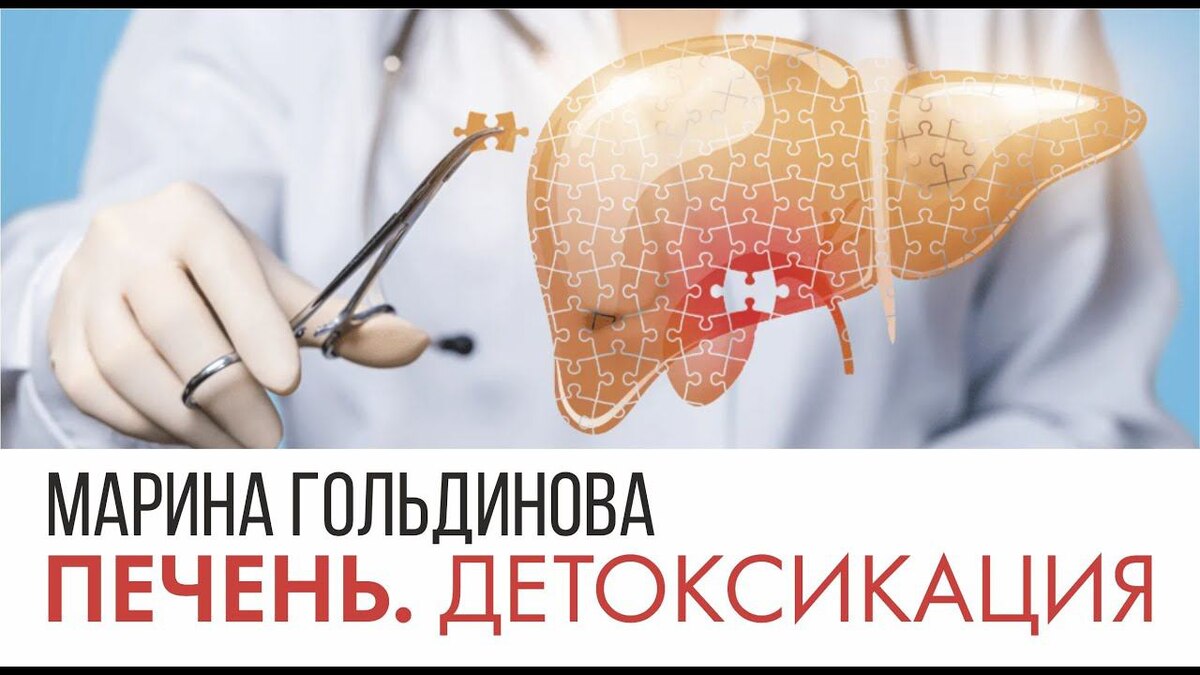   Как бабуины спасли жизни: Трансплантация печени от животных в XXI веке