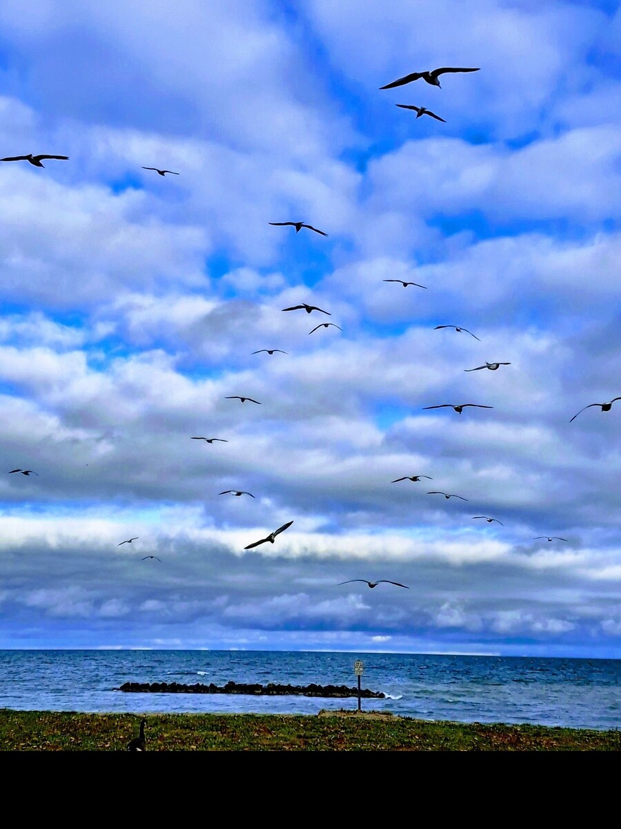 можно сделать так что вашу песню озвучит море 