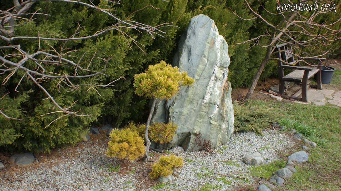 В Японском саду
