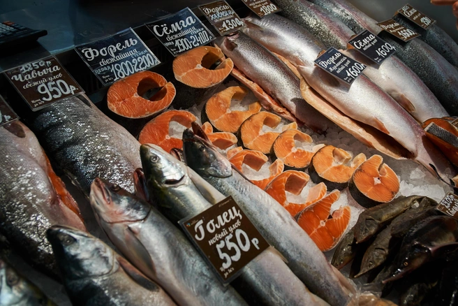 фото для статьи взяты из открытых источников