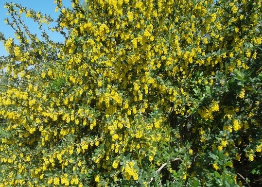 Фотография автора