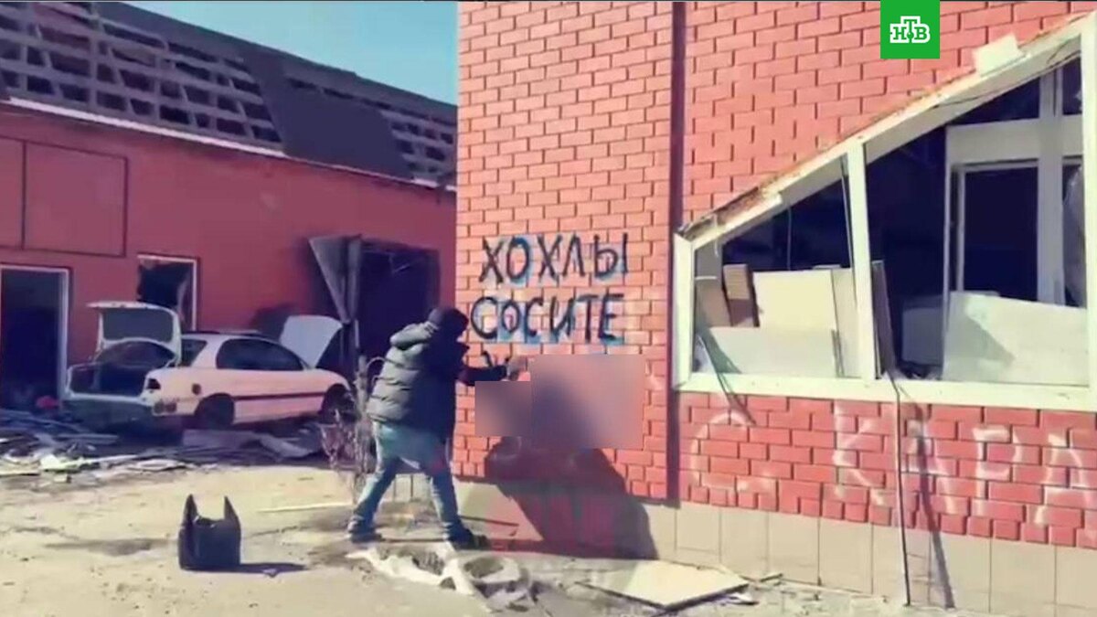    Фото: akimapachev / t.me