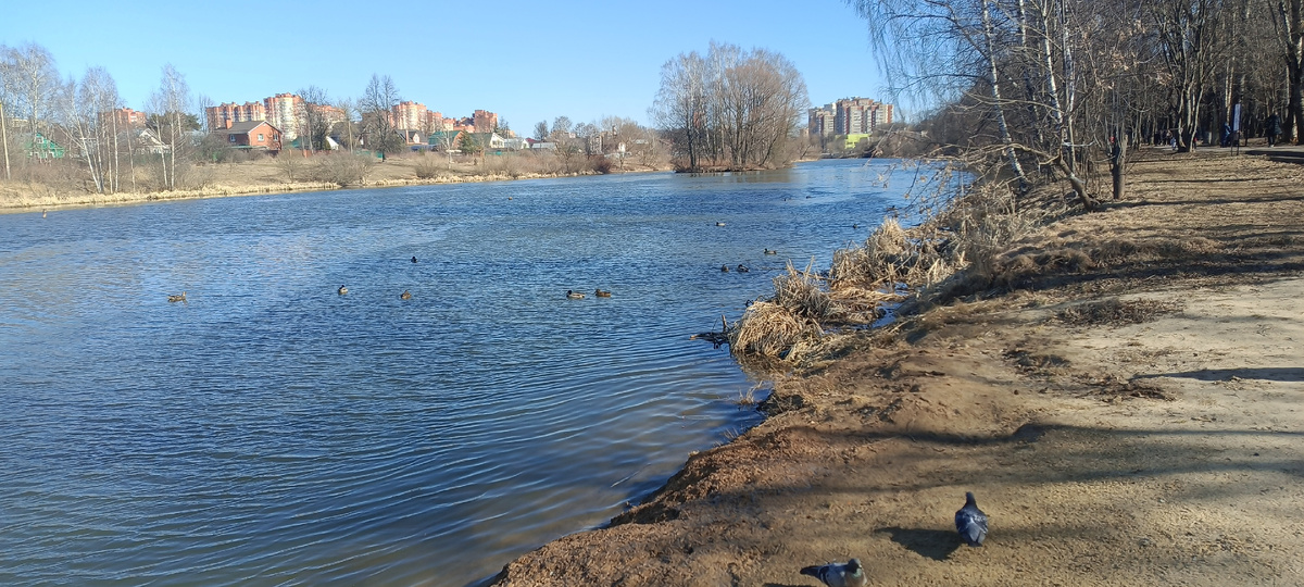 Клязьма в парке Щелково 