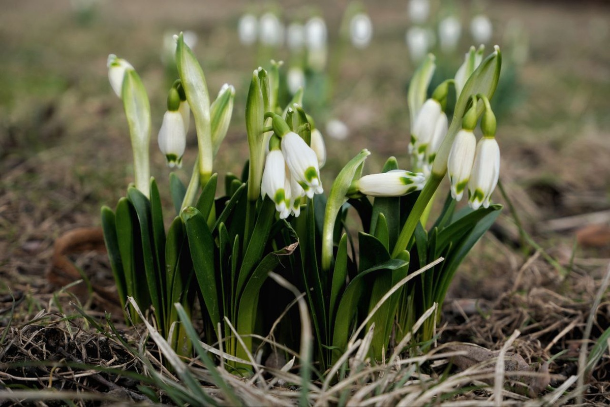 © Русский музей / Дарья Середюк