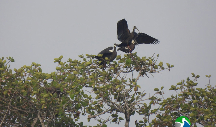 Фото: новостное агентство Khmer Times