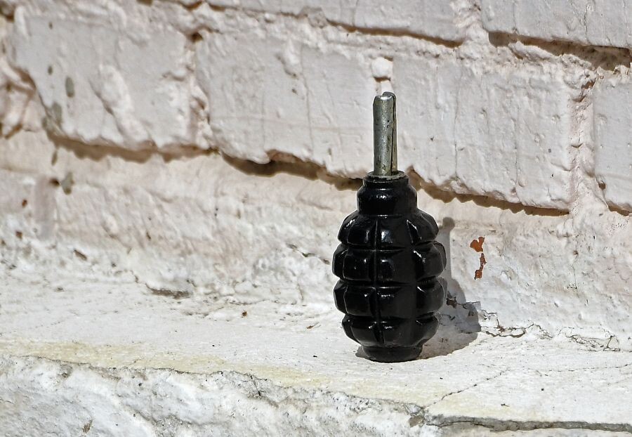     / Источник: ©РИА Новости/Илья Наймушин