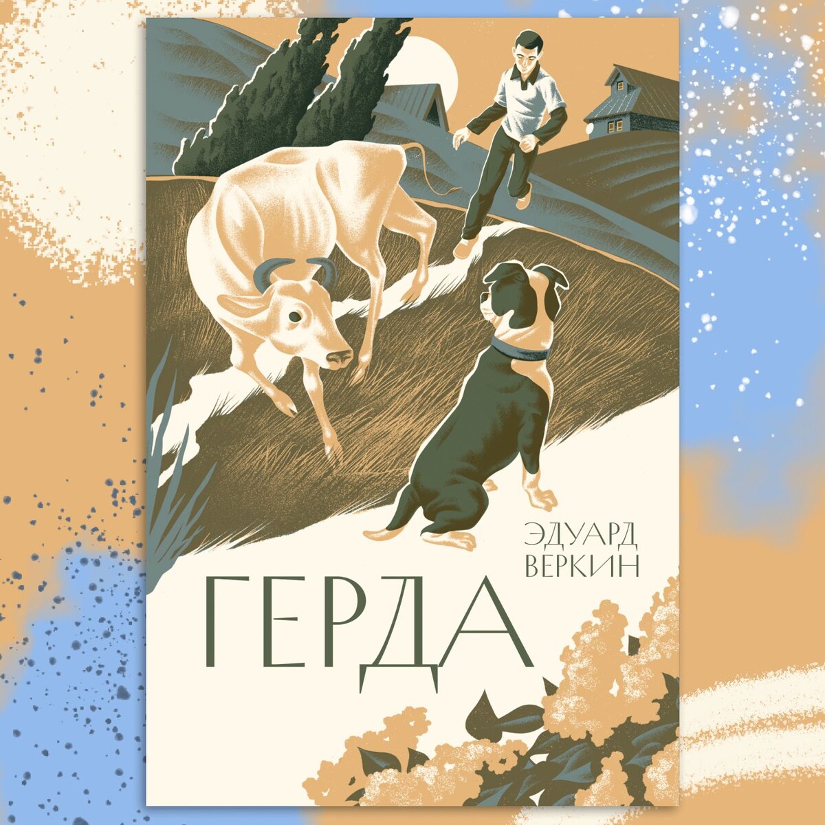 Изображение из открытого источника 