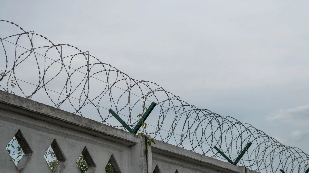    Фото: Stepan17/Shutterstock/Fotodom