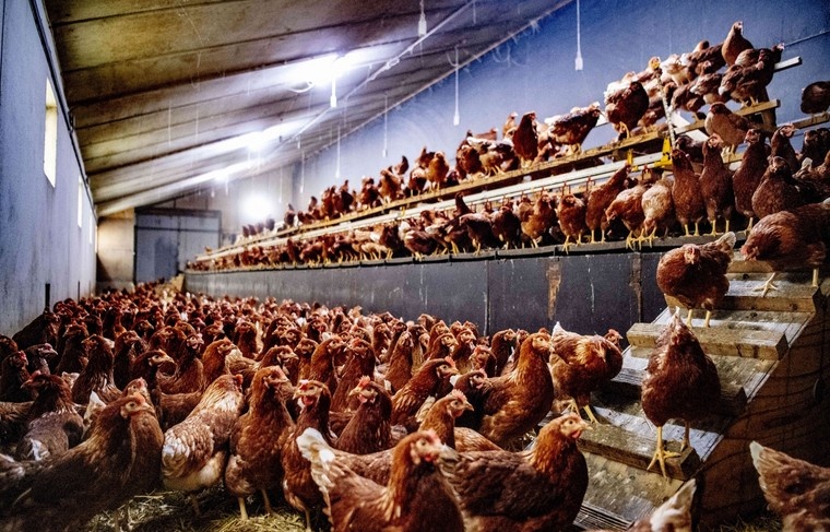    Ddp/Keystone Press Agency/Global Look Press