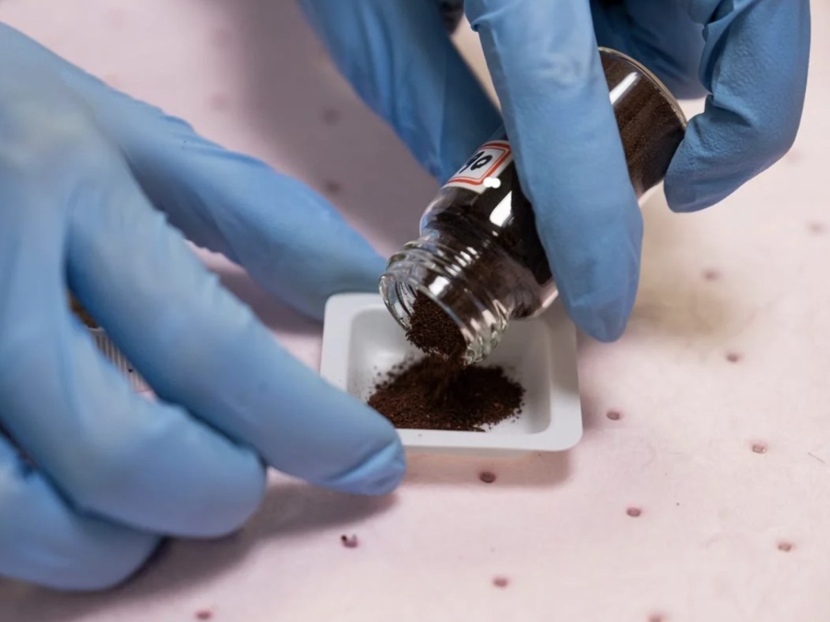    Осадки сточных вод можно превращать в питательный белок