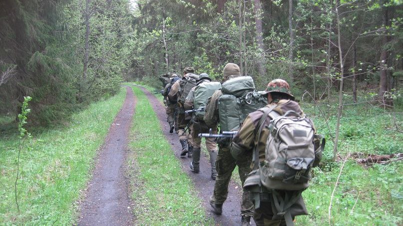 Из откртых источников сети Интернет.