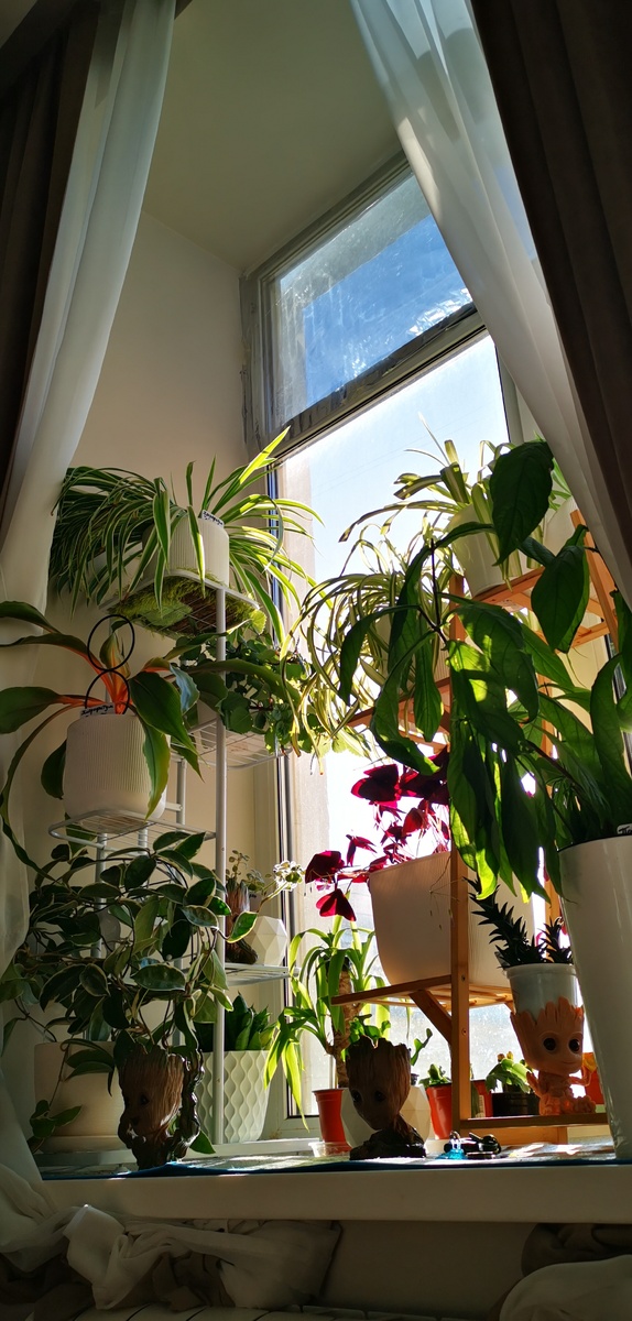 Окно спальни 