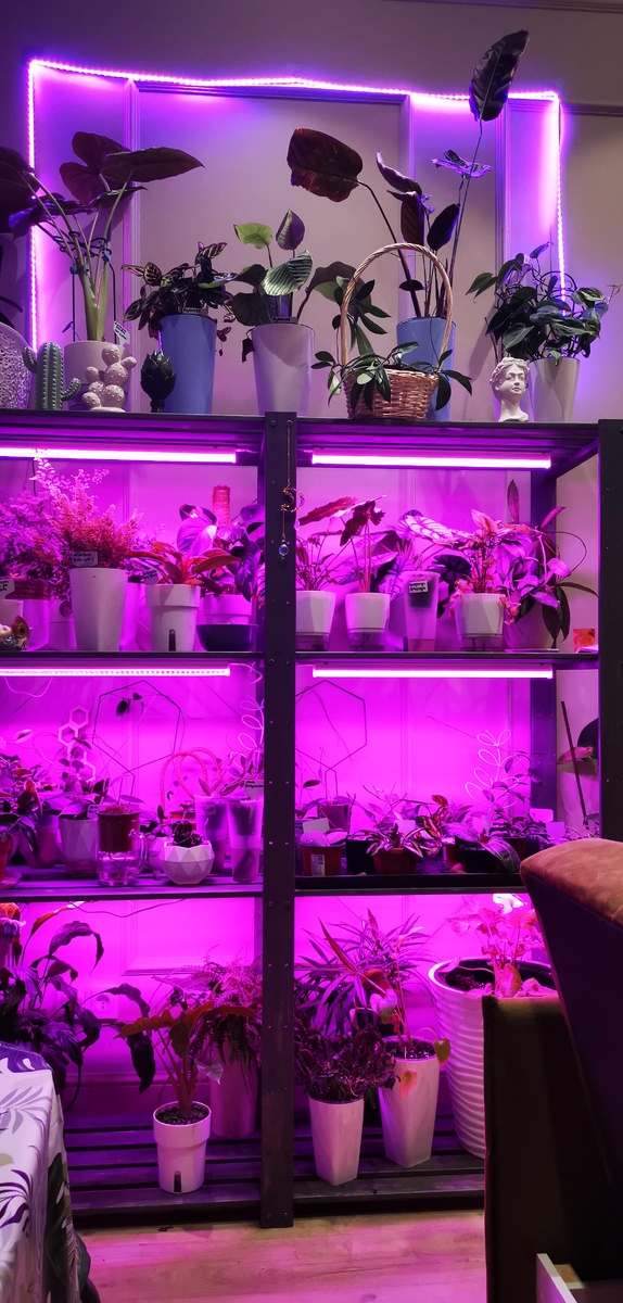 Наш стеллаж