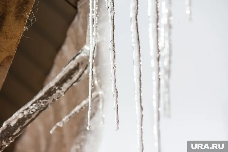 Синоптики предупреждают о климатических аномалиях в апреле
Фото: Александр Елизаров © URA.RU