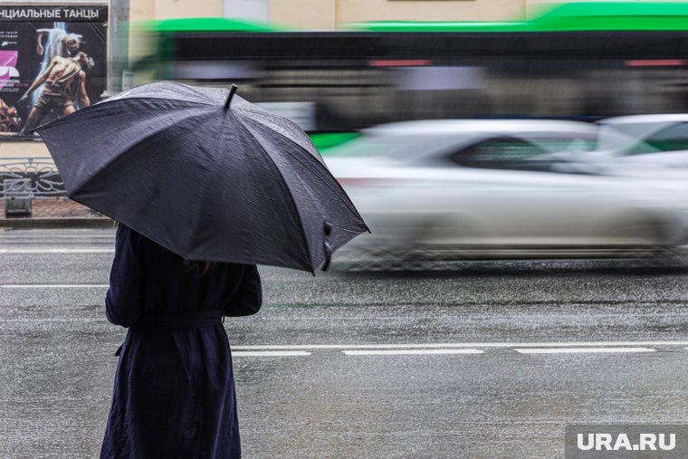 В Москве в апреле ожидаются небольшие дожди
Фото: Размик Закарян © URA.RU