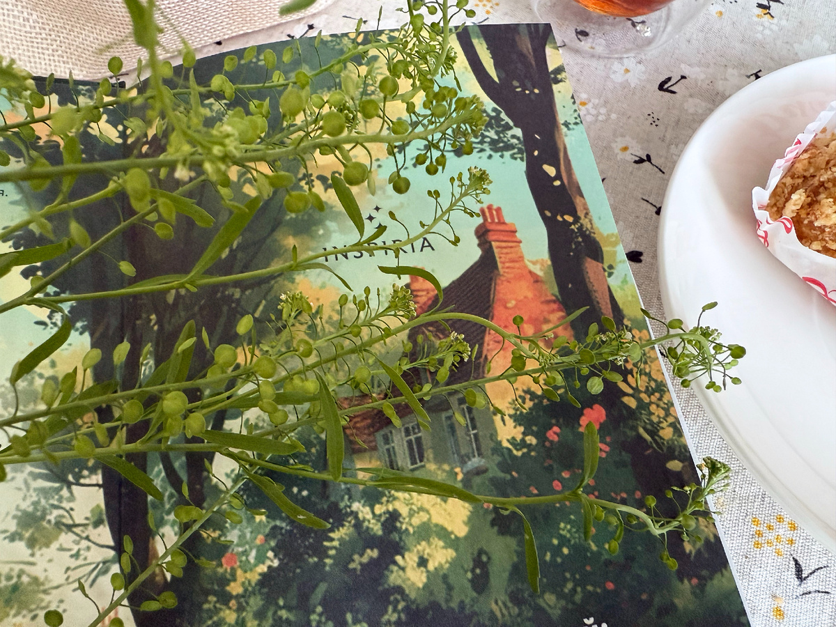 Рассматривать развороты книги - отдельный вид медитации. Смотрите следующую.