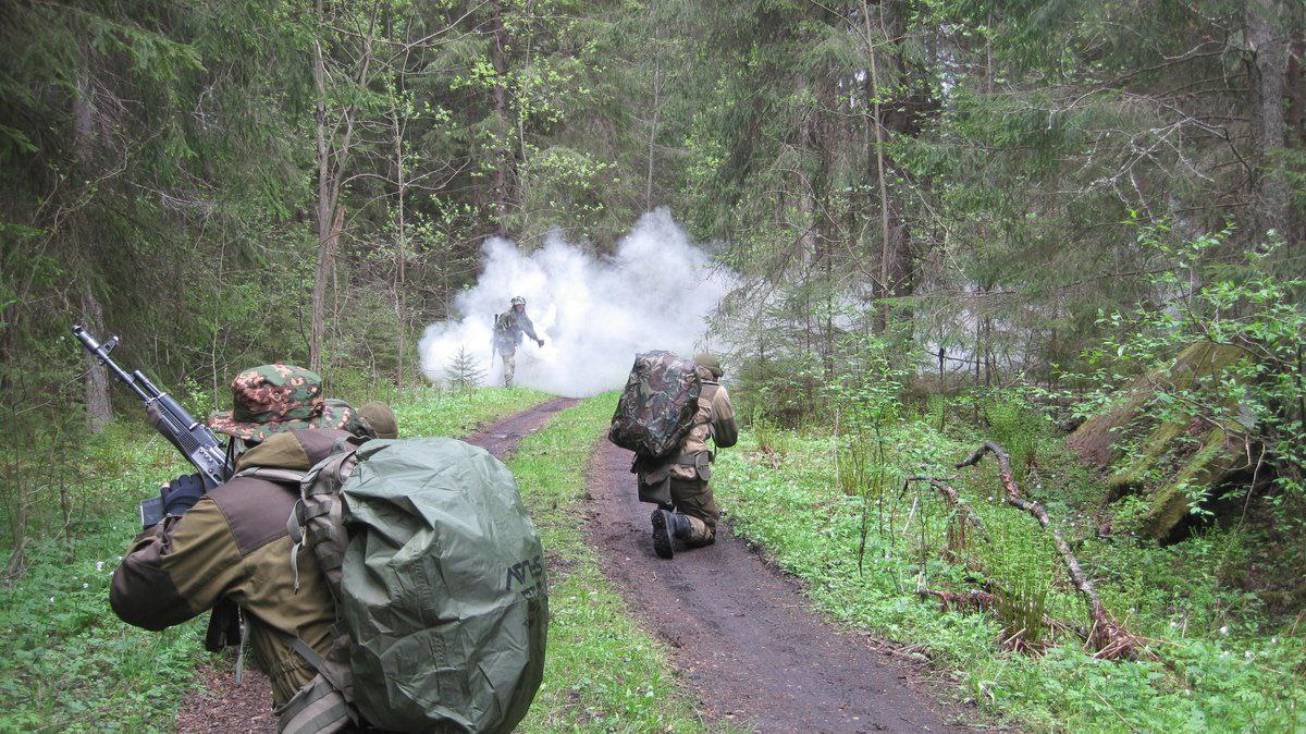 Из открытых источников сети Интернет.