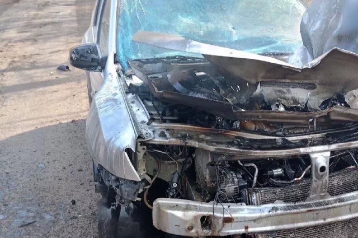    СК счел терактом атаку ВСУ на авто главы района Курской области Волобуева