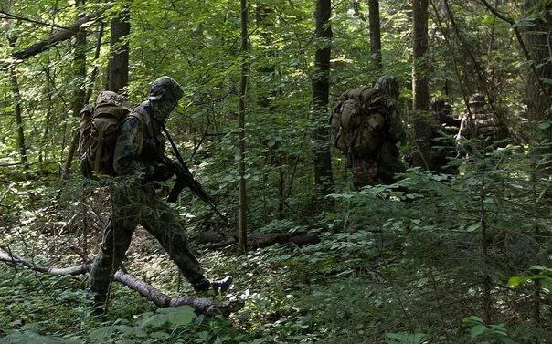 Из открытых источников сети Интернет