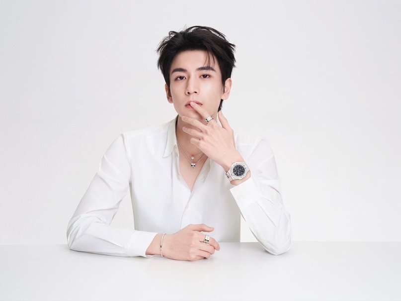 Чжан Линхэ (Из открытых источников)