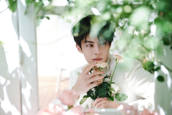 Ван Хе Ди (Из открытых источников)