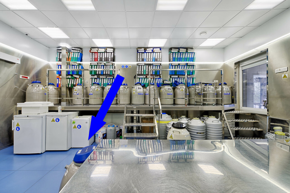    Что скрывает криохранилище мозга Ленина?