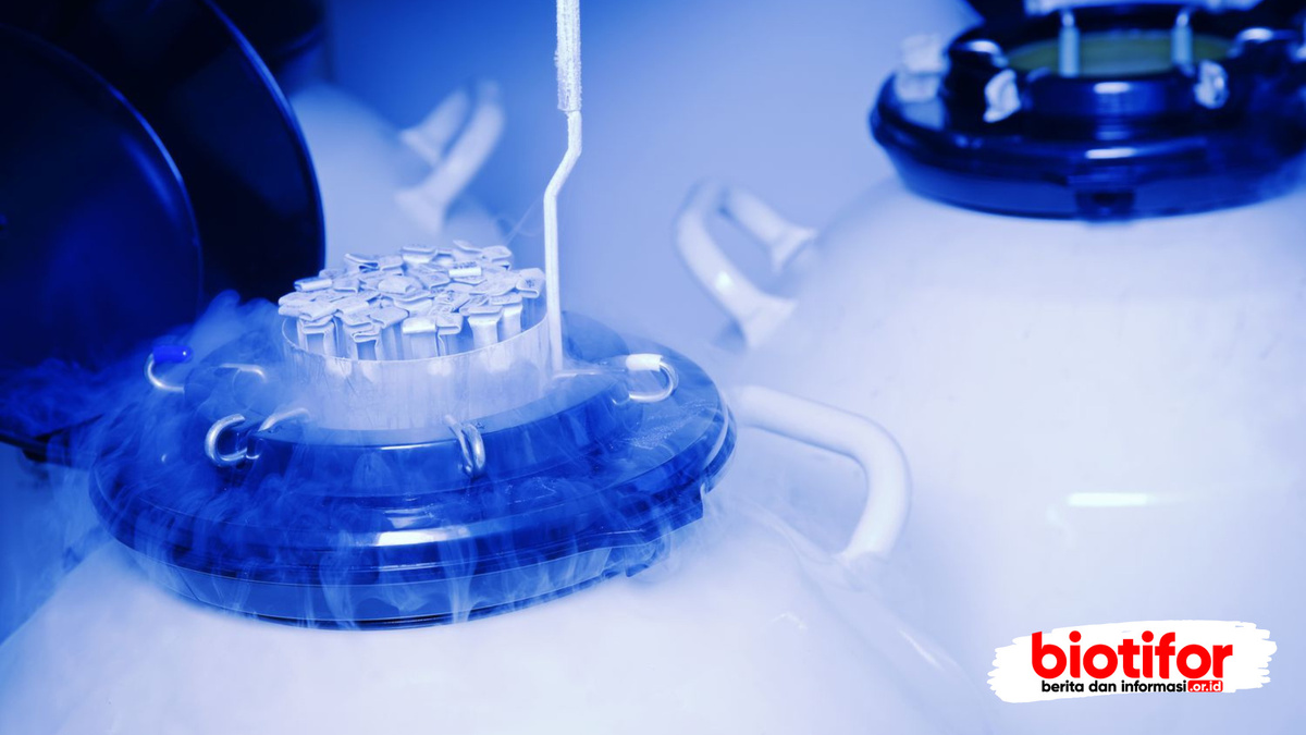    Что скрывает криохранилище мозга Ленина?